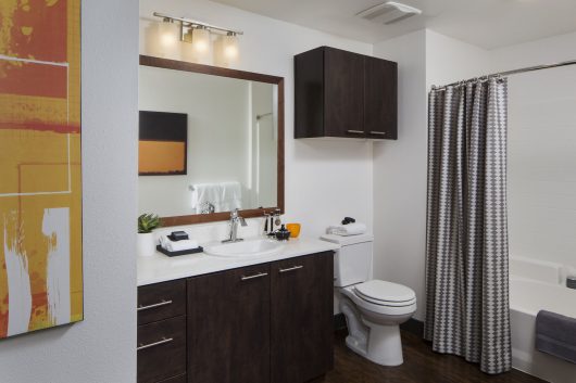 Jefferson Platinum Triangle bathroom